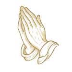 chatgpt image nov 18, 2025, 11 26 45 am